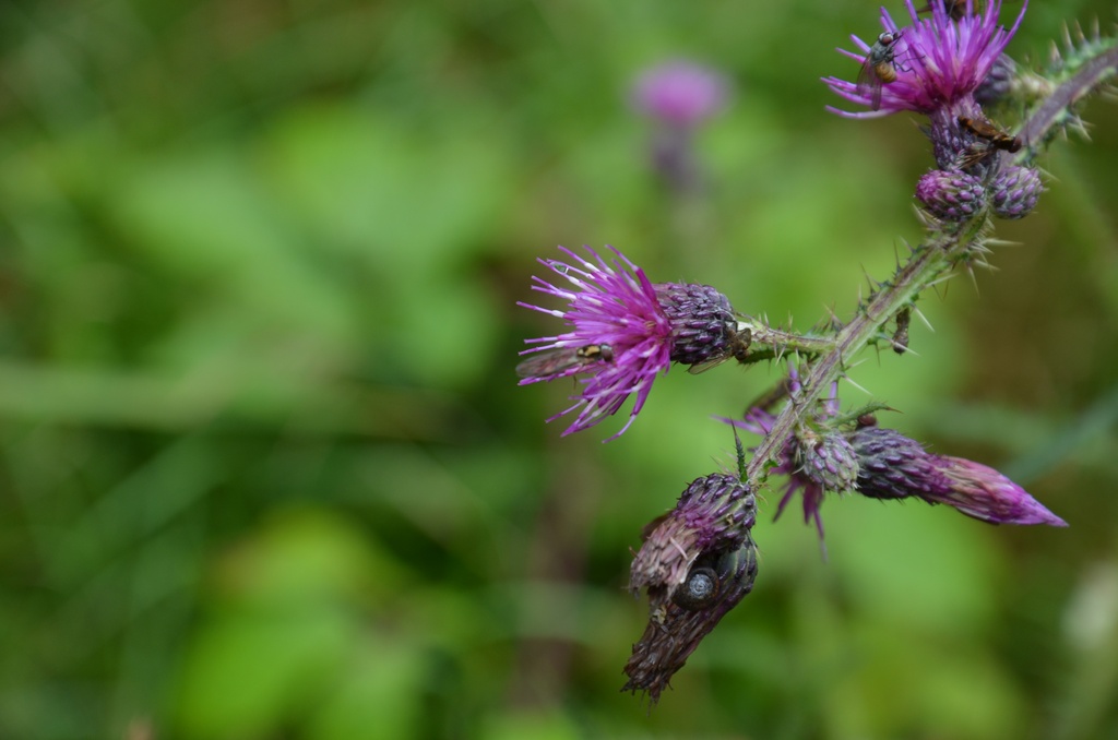 2016-08-20 South Wales/DSC_0171.JPG